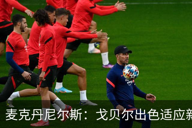 麦克丹尼尔斯：戈贝尔出色适应新节奏，表现尤为亮眼